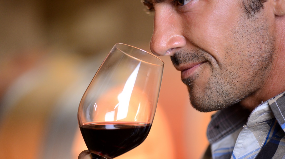 5 красных вин, которые войдут в моду в ближайшее время - красное вино