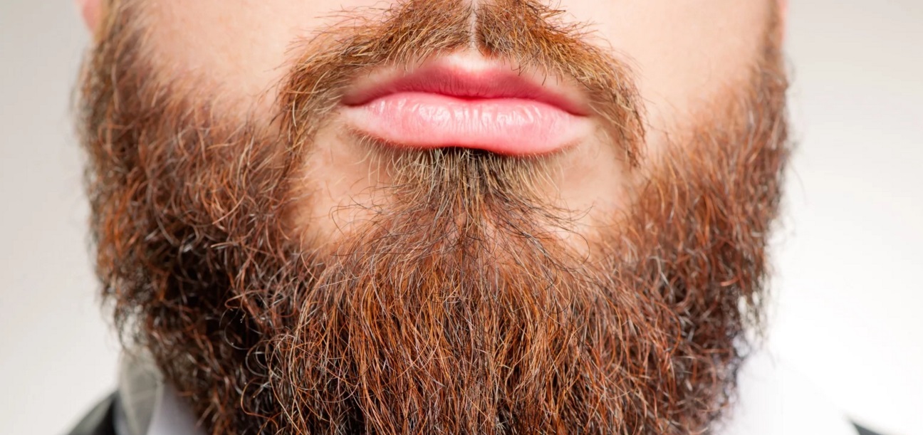 О чём говорит борода - схожесть